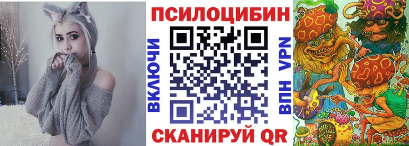 Псилоцибиновые грибы ЛСД  гидра ссылки  Болхов  даркнет сайт 